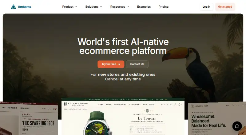 The Amboras homepage