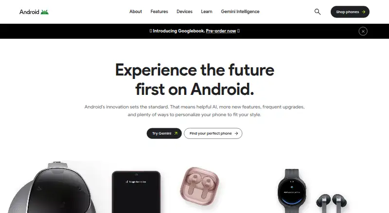 The Google Voice Access homepage