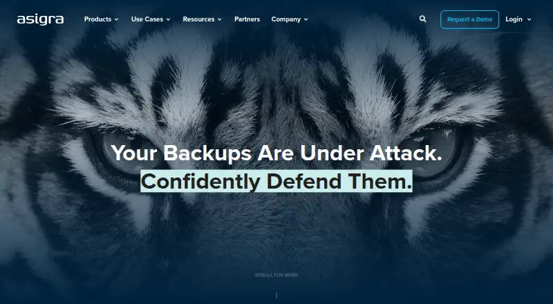 The Asigra Cloud Backup homepage