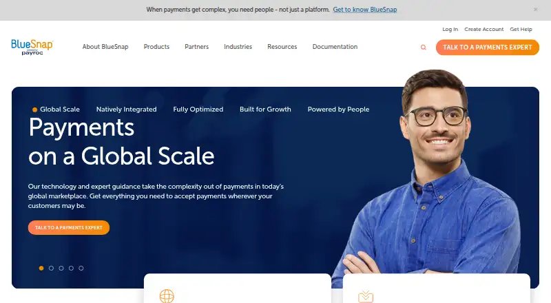 The BlueSnap homepage