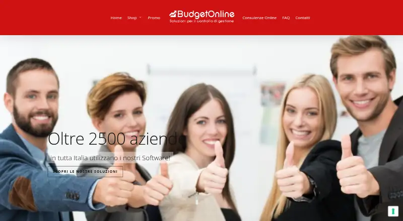 The BudgetOnline homepage