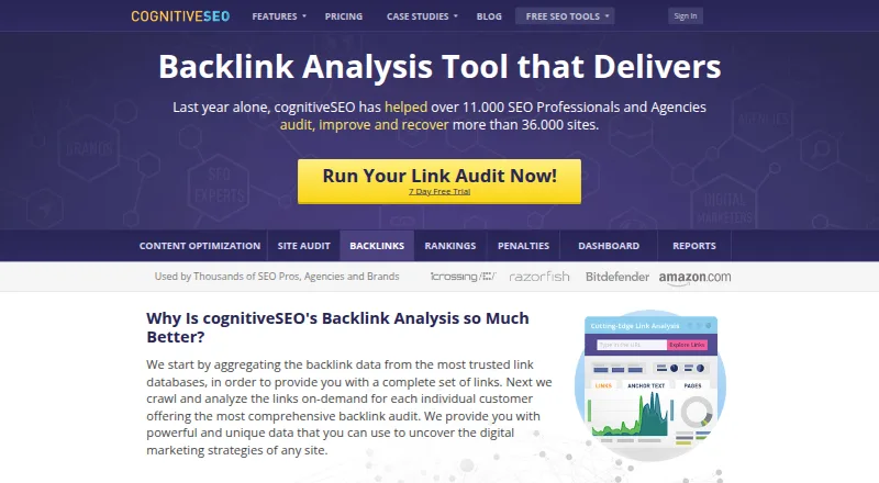 The cognitiveSEO homepage