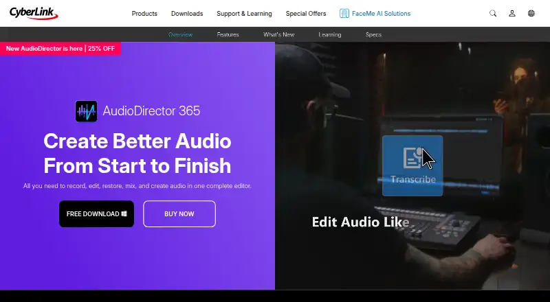 The AudioDirector homepage