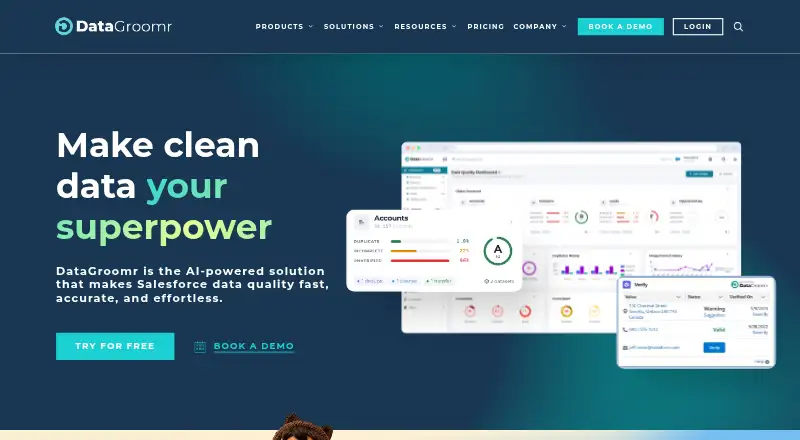 The DataGroomr homepage