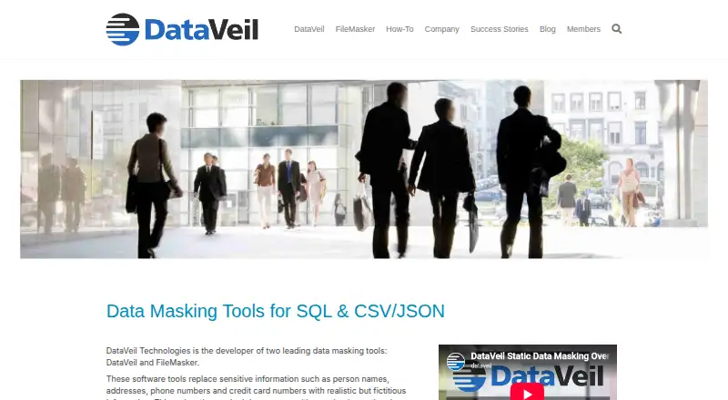 The DataVeil homepage
