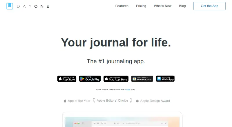 The Day One homepage