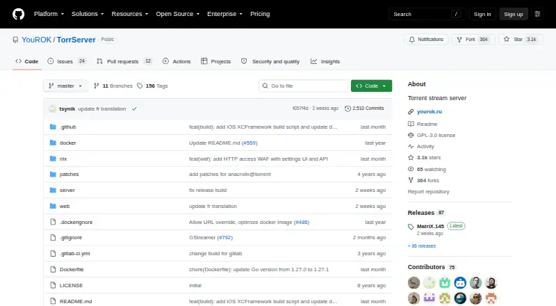 The TorrServer homepage