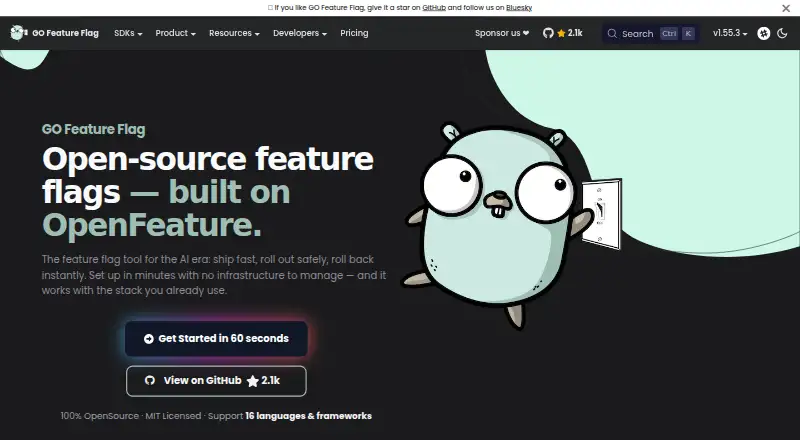 The GO Feature Flag homepage
