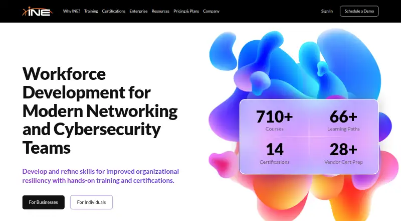 The INE homepage