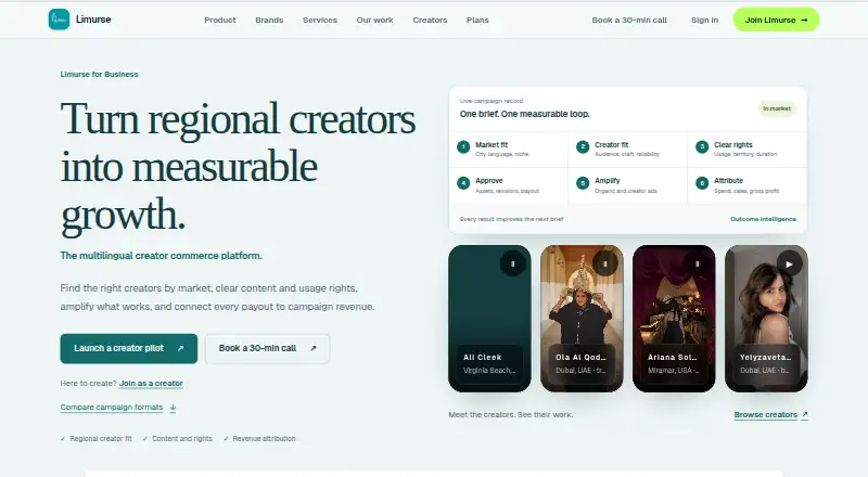 The Limurse AI homepage