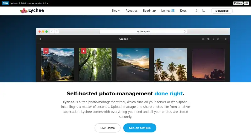 The Lychee homepage