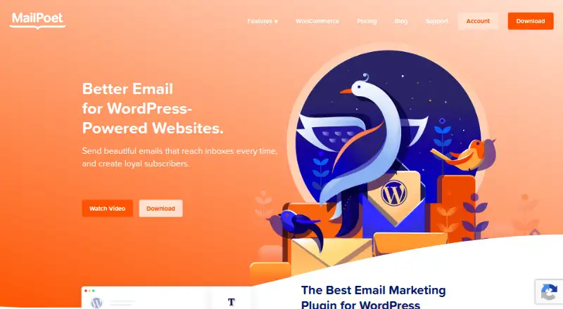 The MailPoet homepage