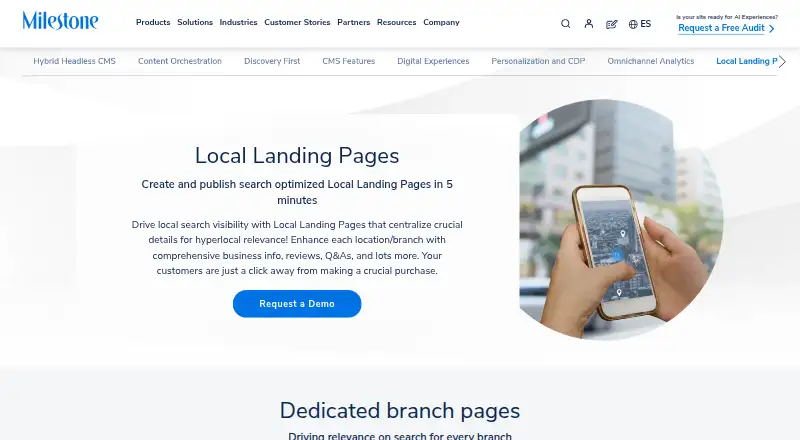 The Milestone Local Landing Pages homepage