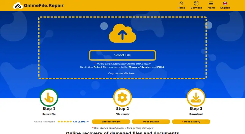 The OnlineFile.Repair homepage