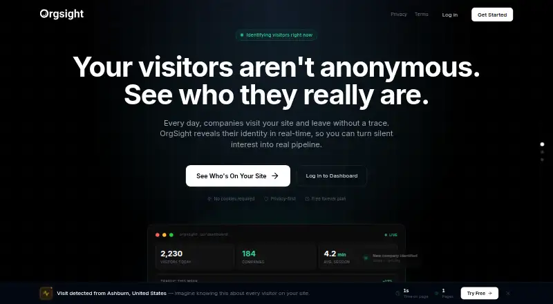 The OrgSight homepage