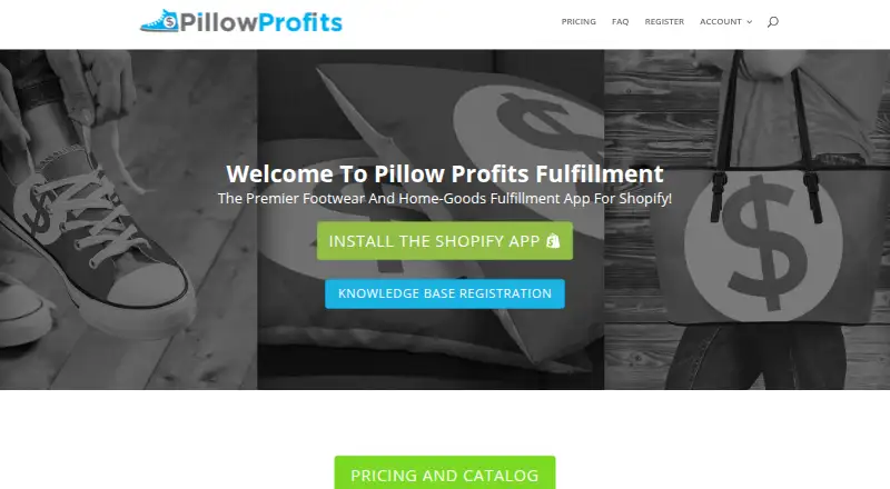 The Pillow Profits homepage
