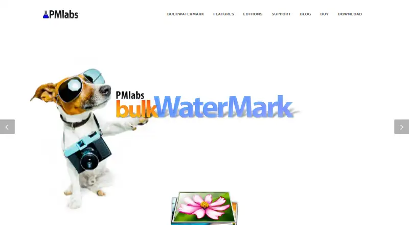 The bulkWaterMark homepage