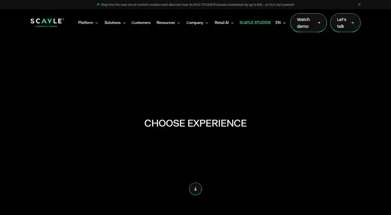 The SCAYLE homepage