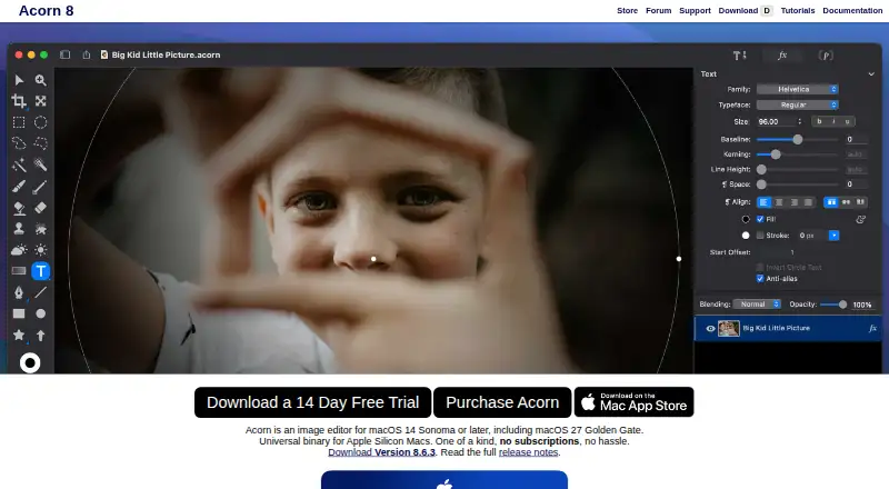 The Acorn homepage