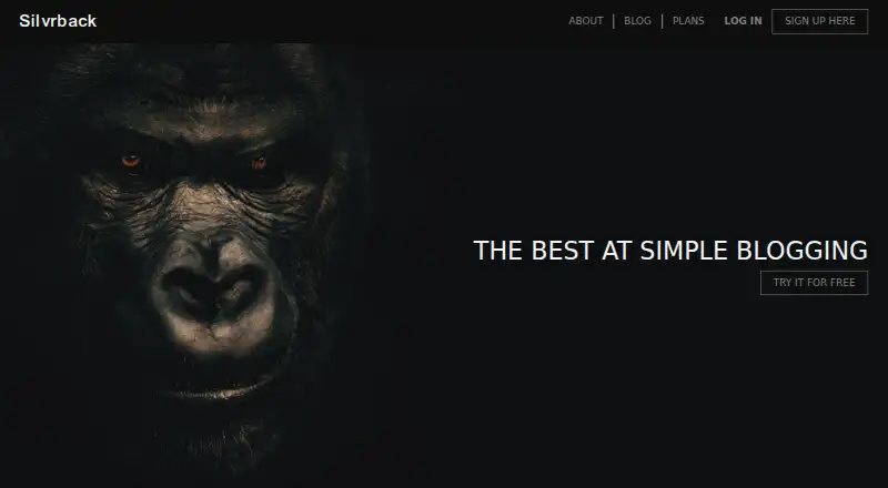 The Silvrback homepage