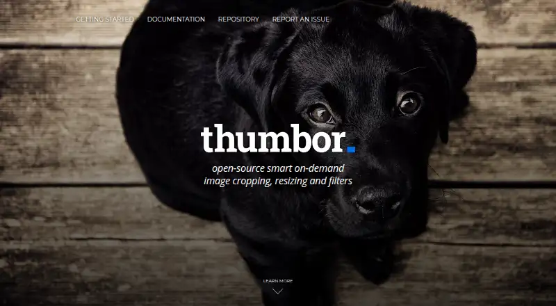 The Thumbor homepage