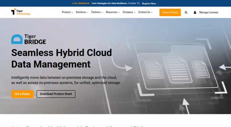 The Tiger Bridge homepage