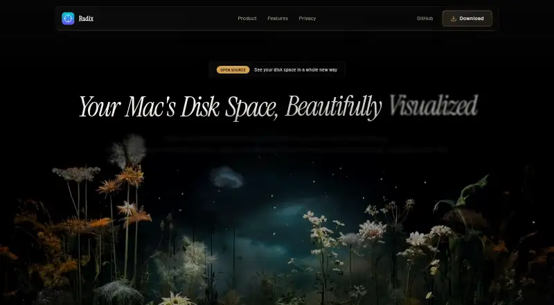 The Radix homepage