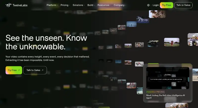 The Twelve Labs homepage