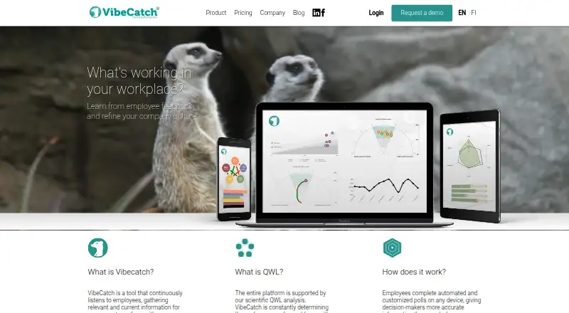 The VibeCatch homepage