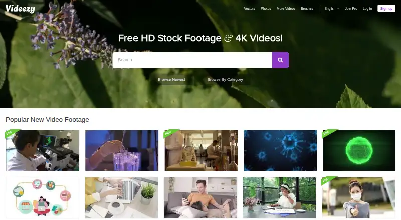 The Videezy homepage