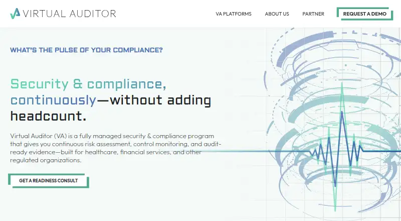 The Virtual Auditor homepage